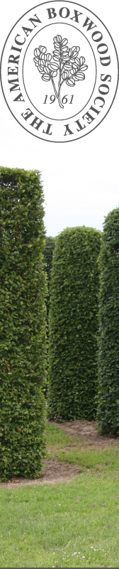 The American Boxwood Society