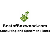 Best of Boxwood