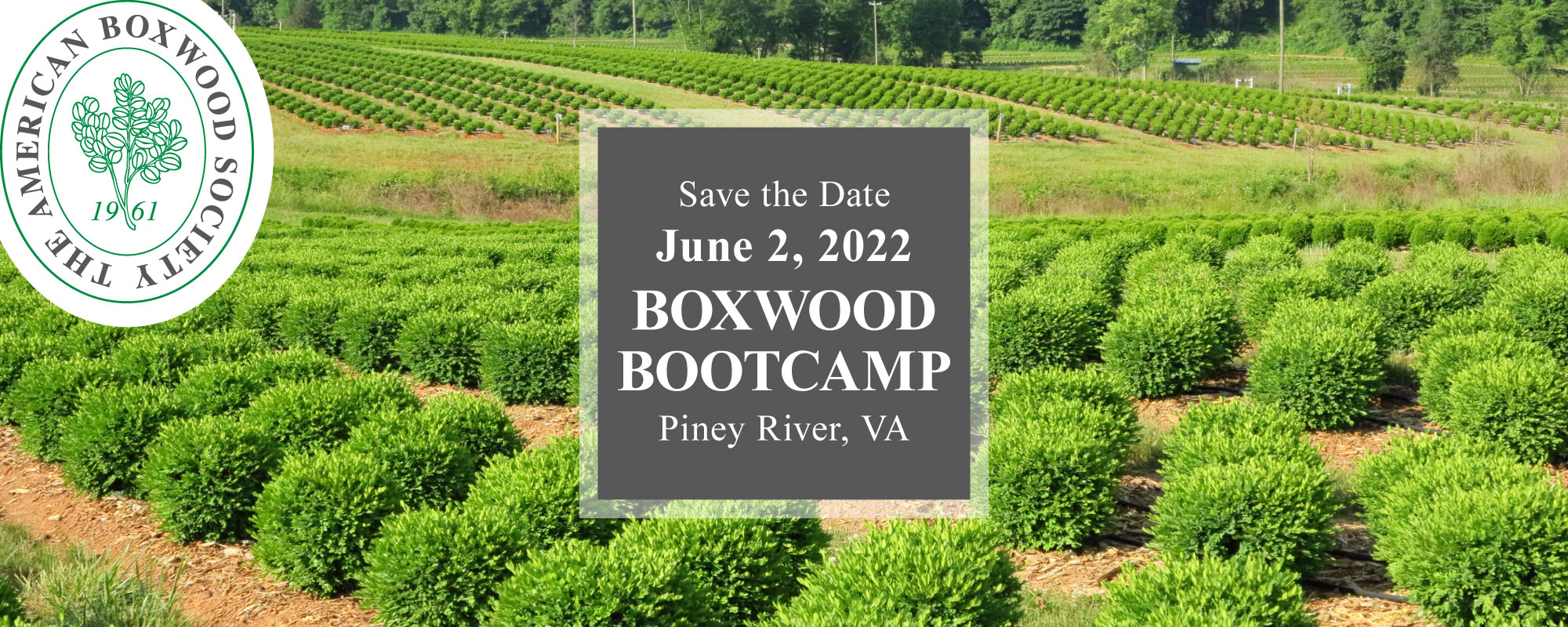 Boxwood Boot Camp